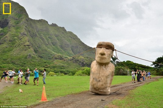 Moai being moved on Easter Island