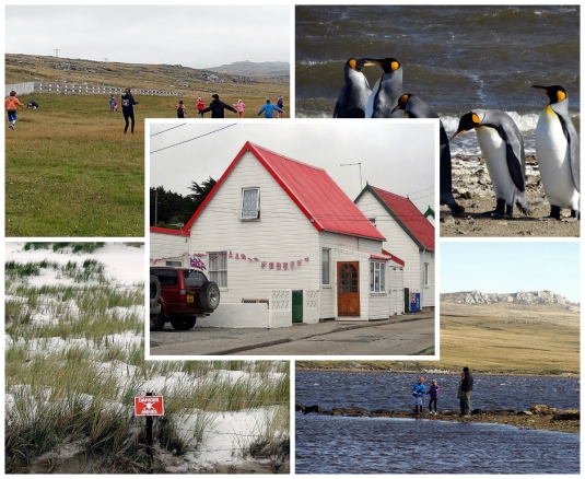 Pictures of Falklands