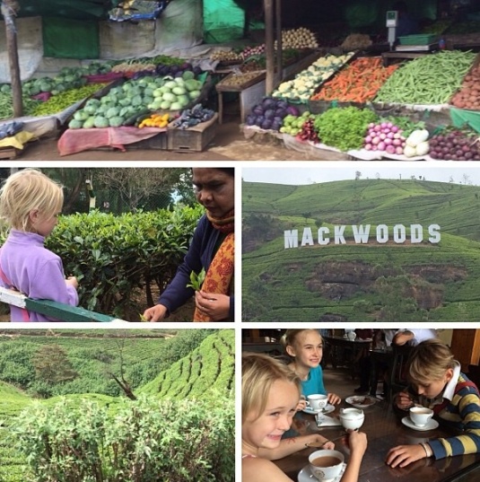 Passing 'english' veggie stalls going to visit Mackwoods Tea Estate