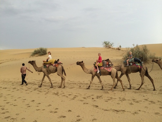 Headed home - across the Thar desert this week... Rajasthan.